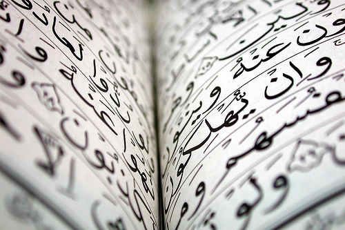 2272887708_93365b0259 undefined